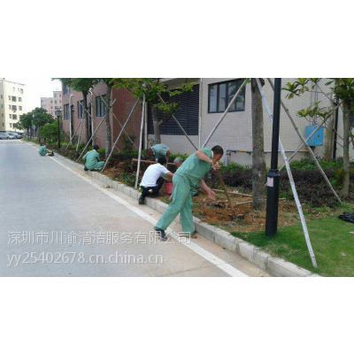 永久性建筑物的清潔與保養(yǎng) 深圳物業(yè)保潔的最佳實踐與價格指南